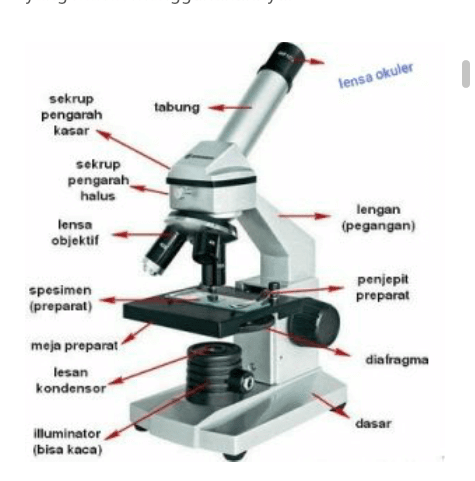 Bagian Mikroskop dan Fungsinya