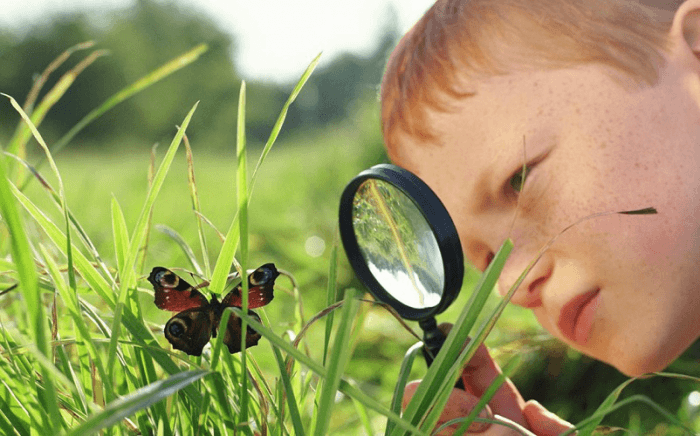 LENGKAP Pengertian Teks Laporan Hasil Observasi dan Struktur