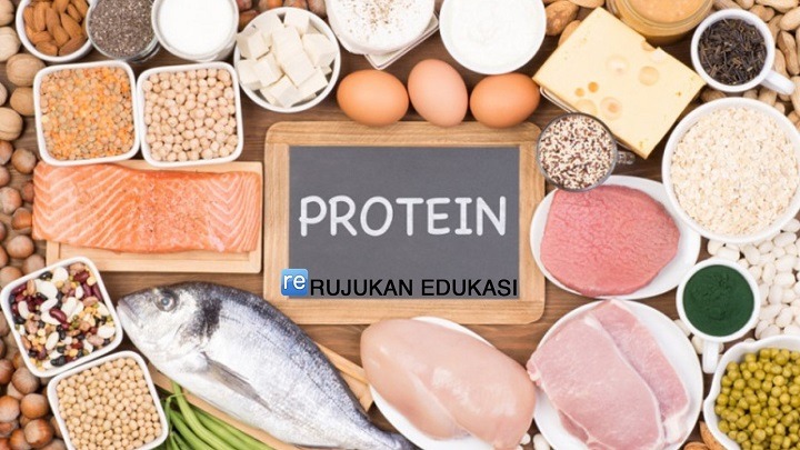 Pengertian Protein Adalah